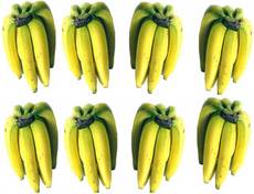 Bananen-8x6.jpg